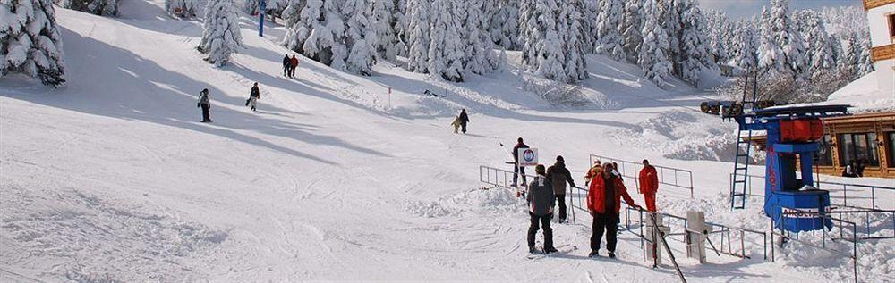 Alkoclar Chalet Hotel ブルサ エクステリア 写真
